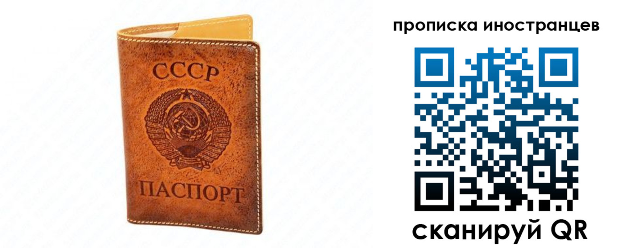 прописка для школы в Боготоле